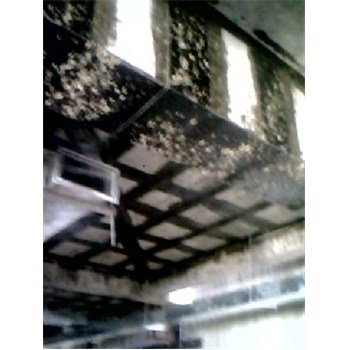 聊城房屋碳纤维加固修补-企汇网